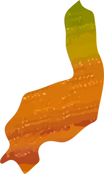 PI