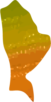 CE