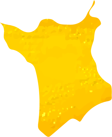 RR