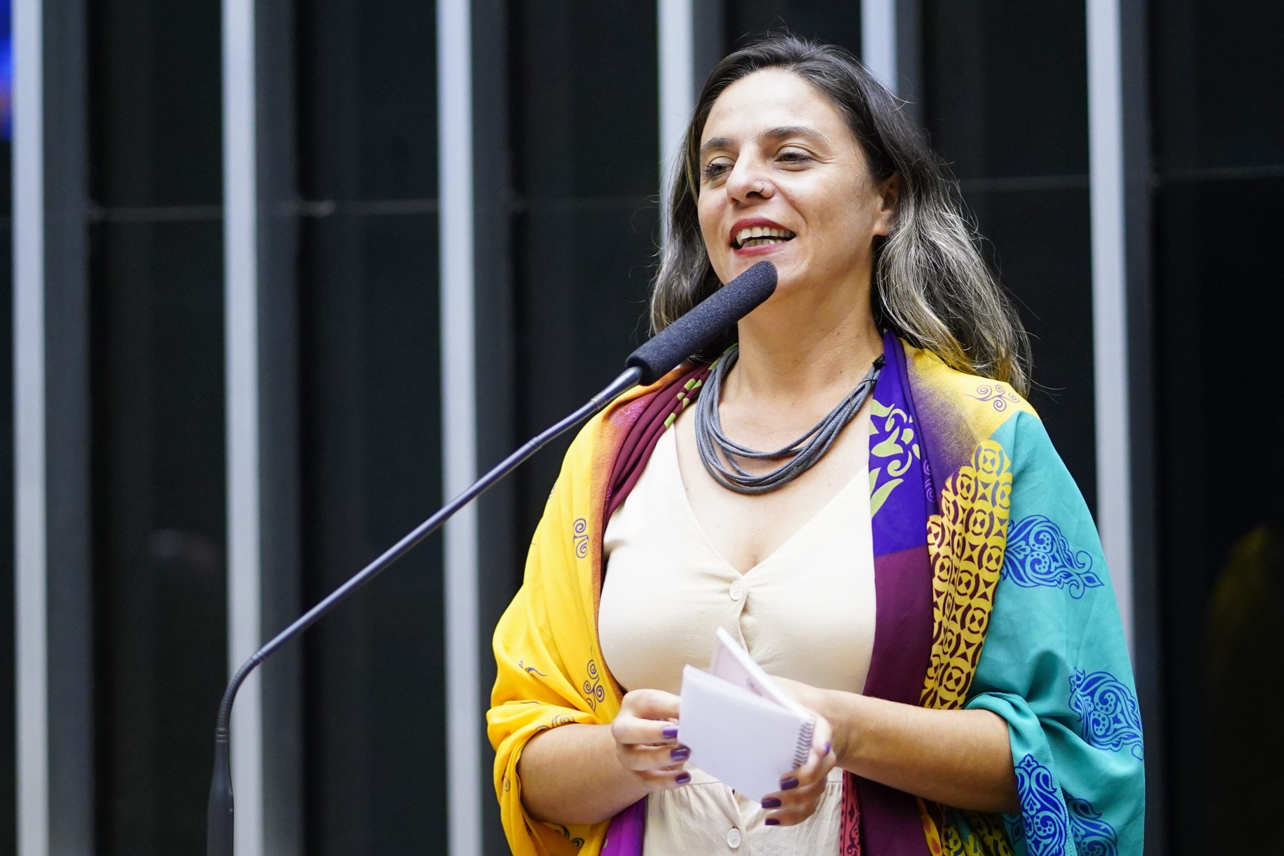 Fernanda Melchionna Imagem de destaque